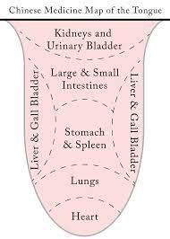 Tongue Diagnosis