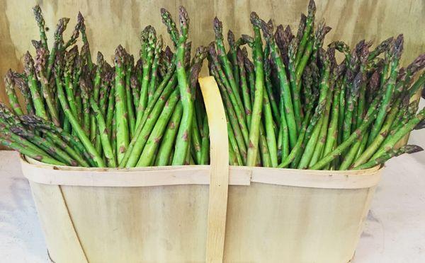 Locally Grown Asparagus