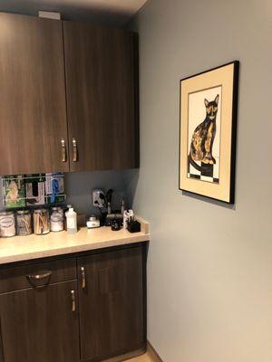 Landing office - new cat room