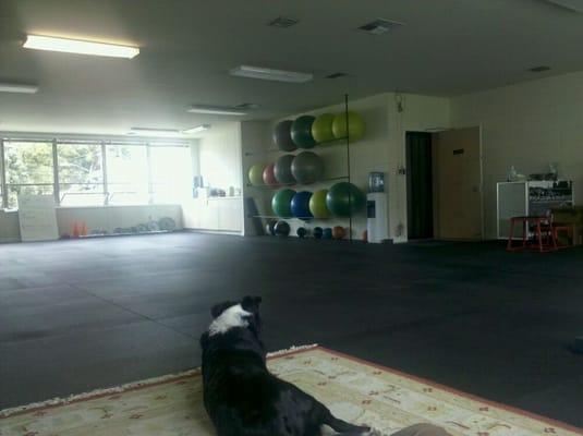 Our new gym space!