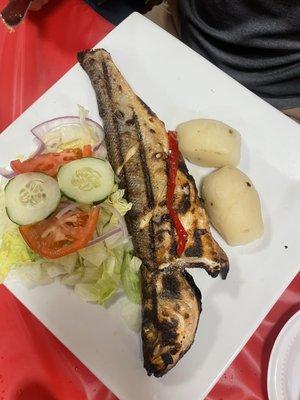 Grilled sea bass