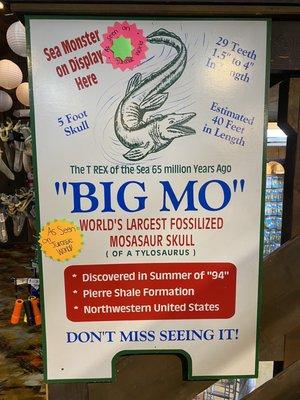 Big Mo sign