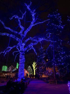 Zoo lights walkway