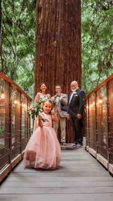 Skywalk wedding in california Redwoods, Eureka, Ca