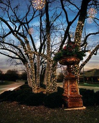 Linden Estates in Omaha, NE installed by our crew using LED Sparklers and light sets.