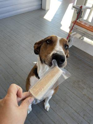 Pup pop! Frozen banana and peanut butter on a small rawhide stick! It was perfect.