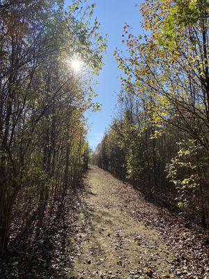 Beautiful fall day