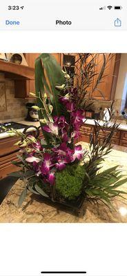 Tropical orchid arrangement