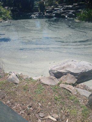 This pond used to be full of beautiful lilies nothing wrong with it at all,then one day they decided to do some work and wipe everything out