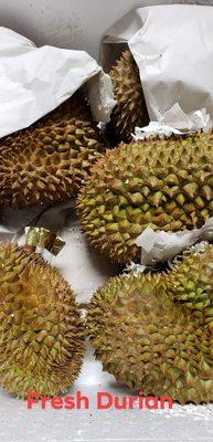 Fresh durian