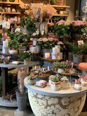 I visited this charming shop in Bethesda over the weekend & found many unique, creative Valentine's Day gifts!