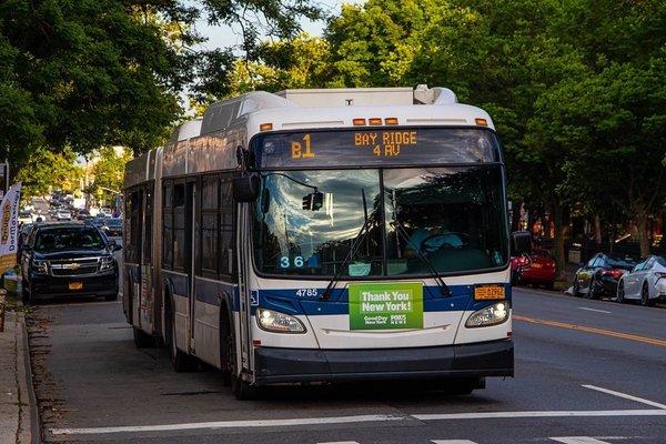 B1 Bus (65th St & McDonald Ave)