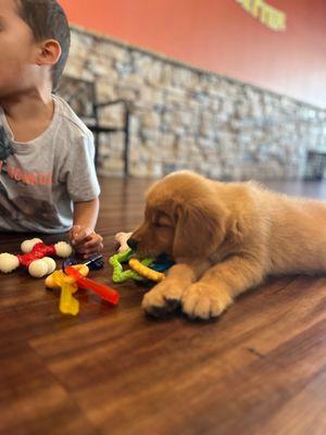 Petland Sarasota