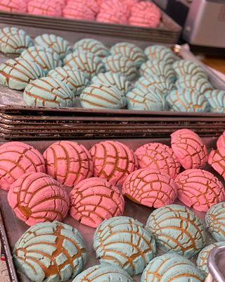 Gender Reveal pink and blue conchas!