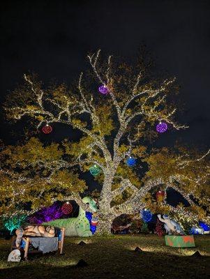 Austin Trail of Lights