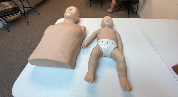 Our CPR "adult" and "infant" we got to practice on. Great tools