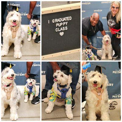 Puppy School with Naomi!