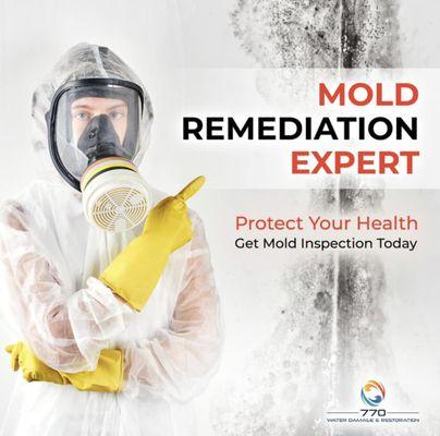 Mold removal