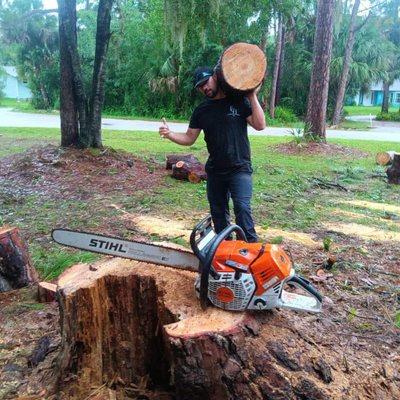 Tree removal