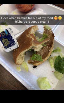 This is what Richards high school is feeding us students! Chicken sandwiches with a few bugs on the side... yum!!