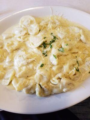 Tortellini alfredo