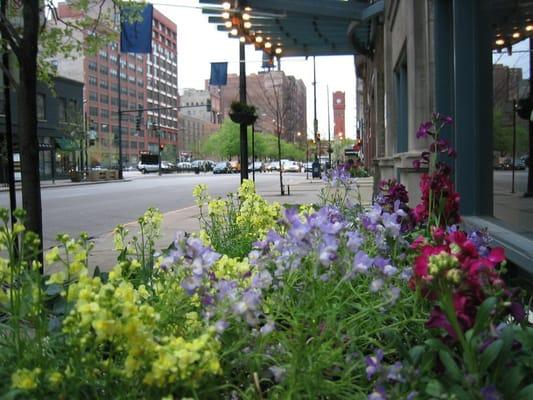 Dearborn St, Printers Row, Chicago, IL