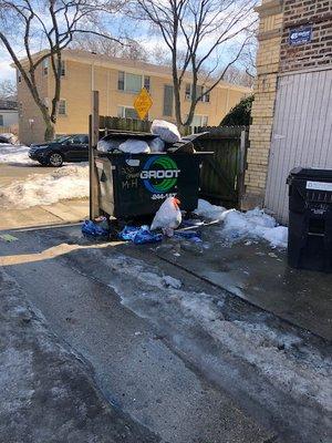 Meltzer--hire someone to cleanup.  This is a weekly scene on Elmwood and Case