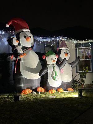 12/28/24 A family of Penguins