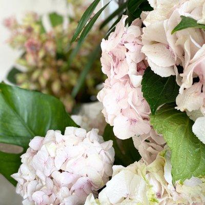 Hydrangeas & blushing bride