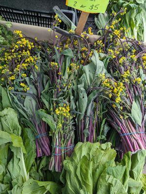 Flowering purple choy sum. So pretty, and extra anthocyanins!