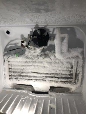 Defrost Issue on a Refrigerator