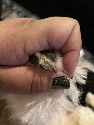 Horrible shaved nail job