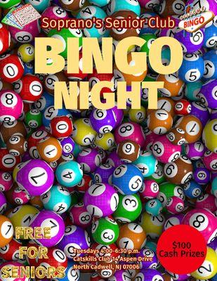 Bingo Night Flyer