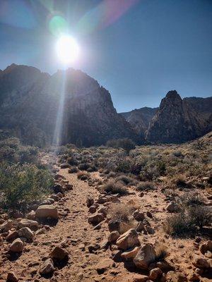 Along the trail