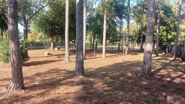 Open dog park with trees