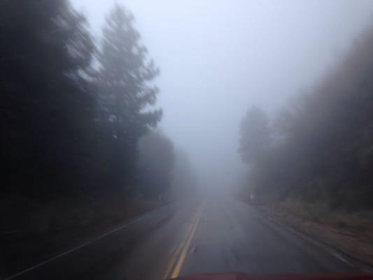 Foggy drive home.  I love it.