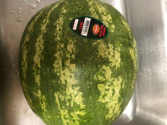 12 lb Basketball sized Sugar Sweet Watermelon