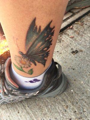 Tattered butterfly perched on a daisy, artist Daryl Hardy