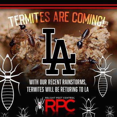 Los Angeles, Termites are coming!