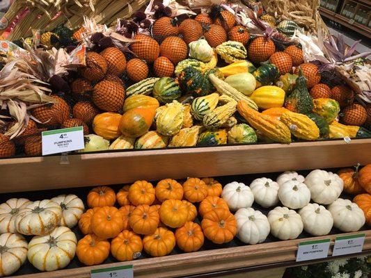 Fall = pumpkin time!