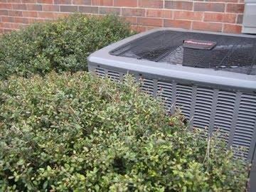 Landscaping fail!  This can do real damage to your air conditioning unit.