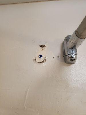 Hole in wall near shower curtain.