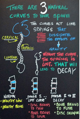 The body's scaffolding -- Don't loose the springs!