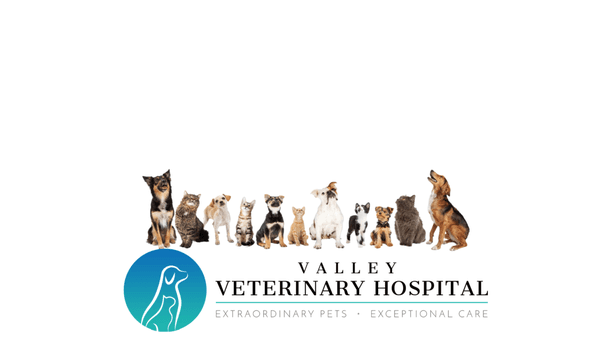 Valley Veterinary Hospital