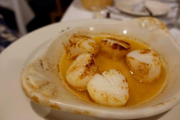 Sea scallops