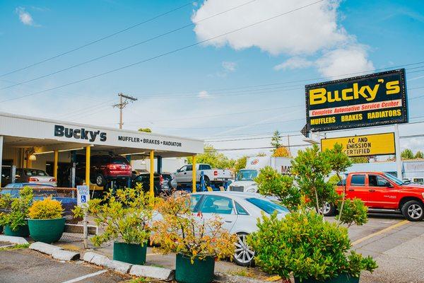 Bucky's Complete Auto Repair