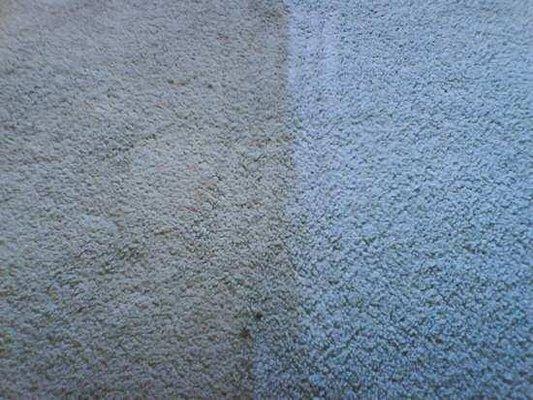 Carpet, before and after