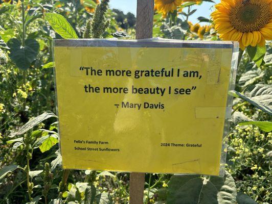 Take time to read the inspiring signs as you walk through the gorgeous fields!