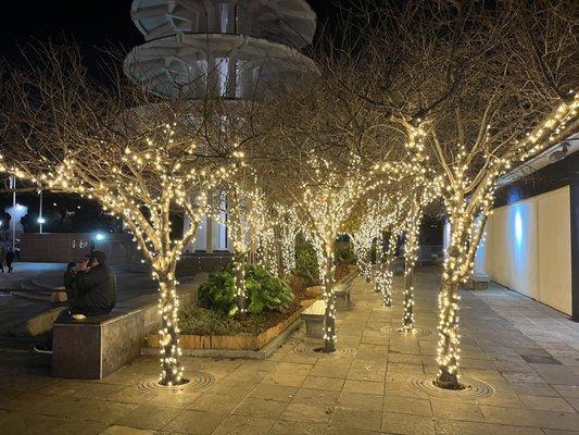 Christmas lights at the plaza