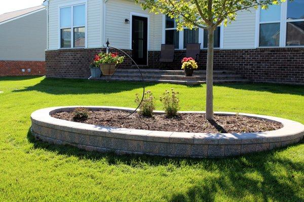 raised bed tree landscape